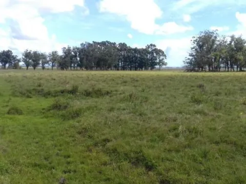 Campo en venta en Rocha 20ha — foto 3