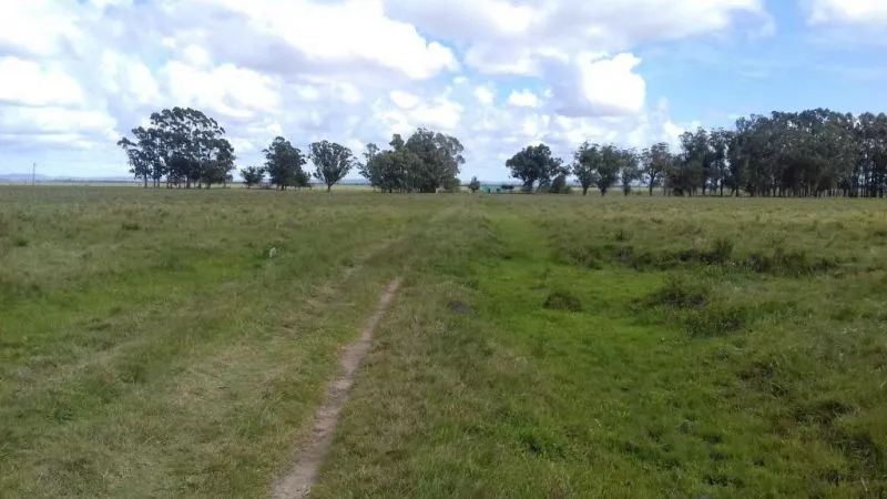 Campo en venta en Rocha 20ha — foto 4
