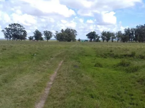 Campo en venta en Rocha 20ha — foto 4