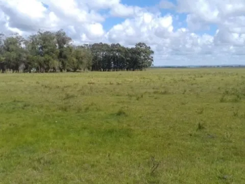 Campo en venta en Rocha 20ha — foto 5