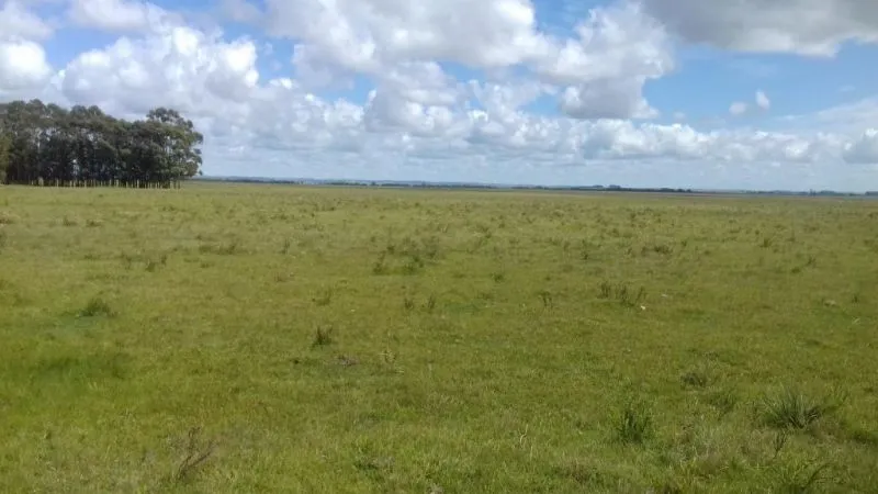 Campo en venta en Rocha 20ha — foto 6