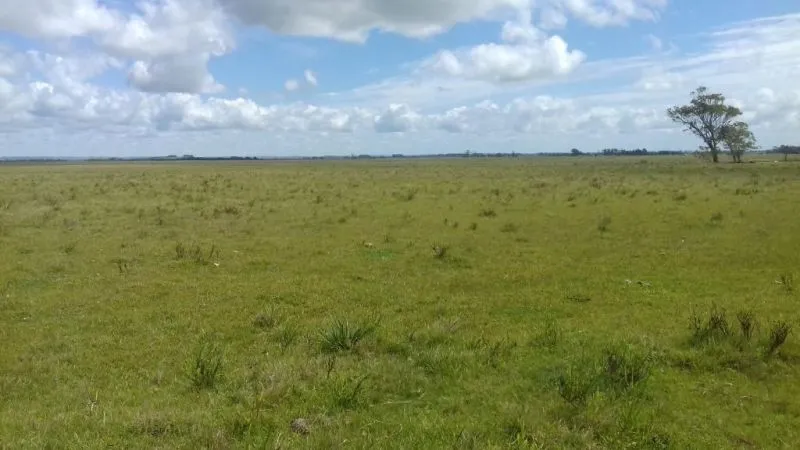 Campo en venta en Rocha 20ha — foto 7