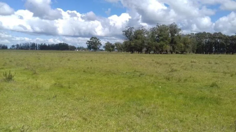 Campo en venta en Rocha 20ha — foto 9