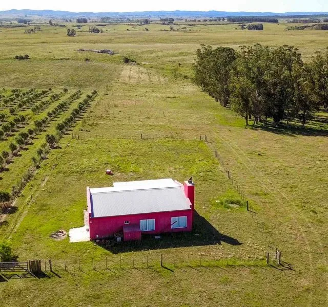 Campo de 60ha con olivos en Garzon — foto 3