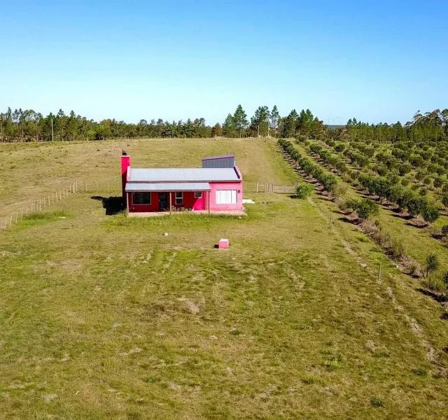 Campo de 60ha con olivos en Garzon — foto 4
