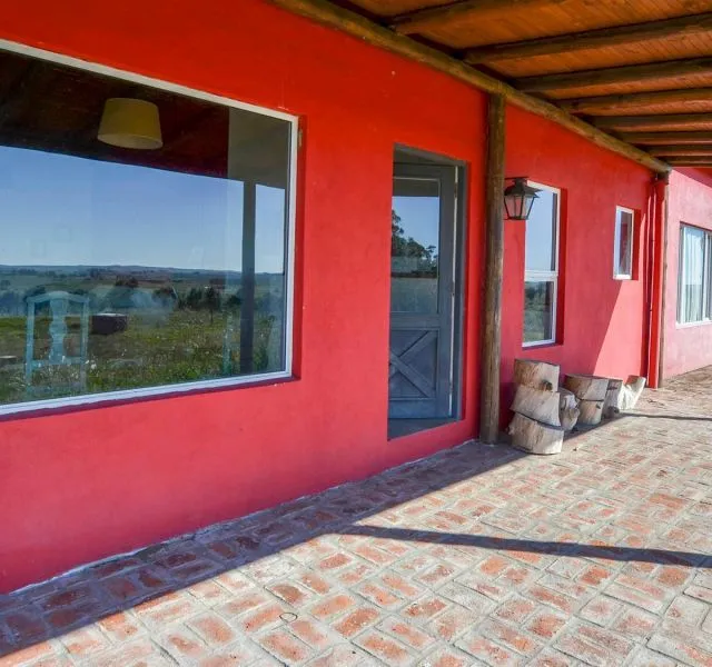 Campo de 60ha con olivos en Garzon — foto 7
