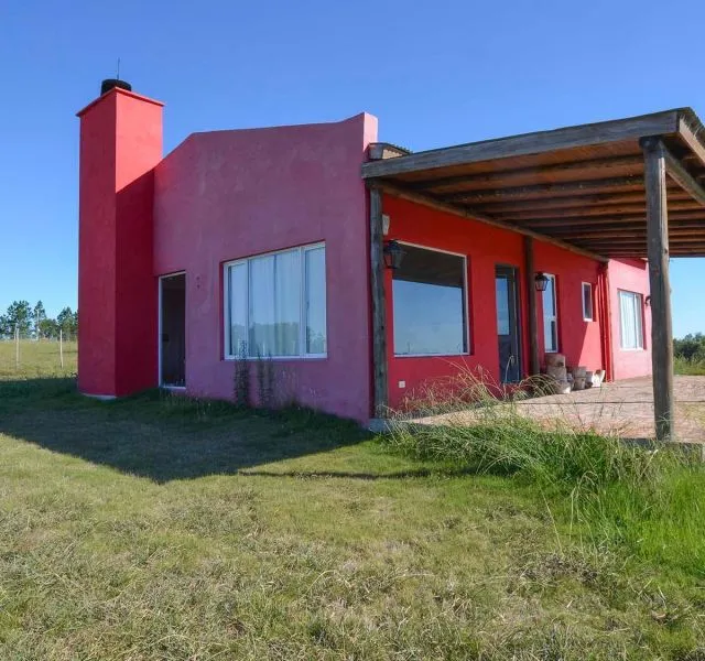 Campo de 60ha con olivos en Garzon — foto 8