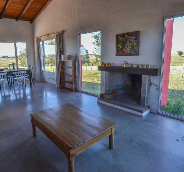 Campo de 60ha con olivos en Garzon — foto 17