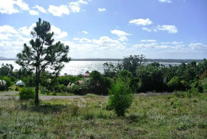 Venta lote con vista al mar - Punta Ballena — foto 1