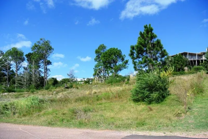 Venta lote con vista al mar - Punta Ballena — foto 2