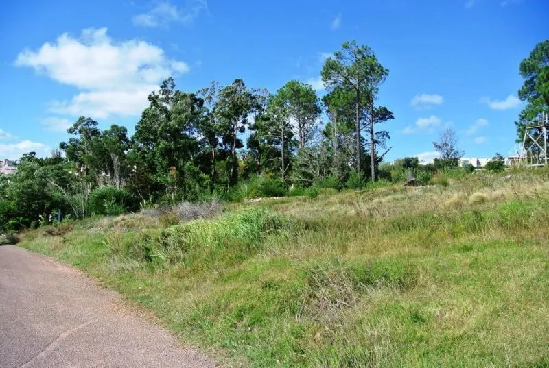 Venta lote con vista al mar - Punta Ballena — foto 3