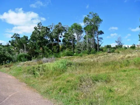 Venta lote con vista al mar - Punta Ballena — foto 3