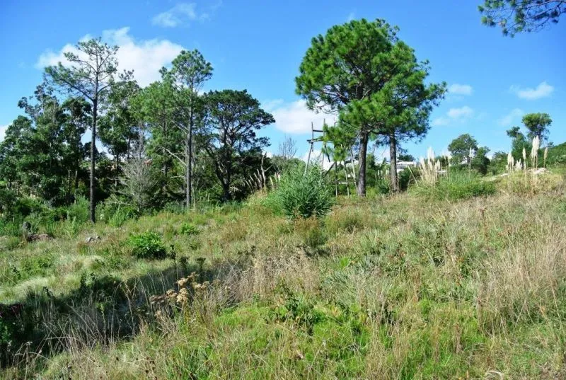 Venta lote con vista al mar - Punta Ballena — foto 4
