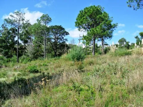 Venta lote con vista al mar - Punta Ballena — foto 4