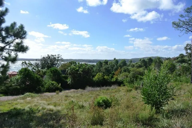 Venta lote con vista al mar - Punta Ballena — foto 7