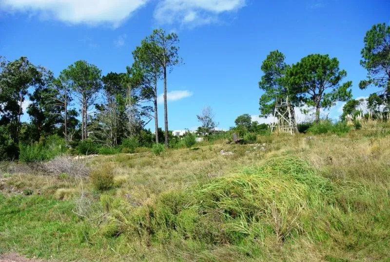 Venta lote con vista al mar - Punta Ballena — foto 8