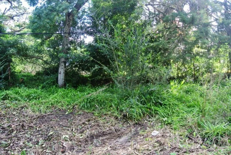 Venta terreno en Golf- Punta del Este — foto 2