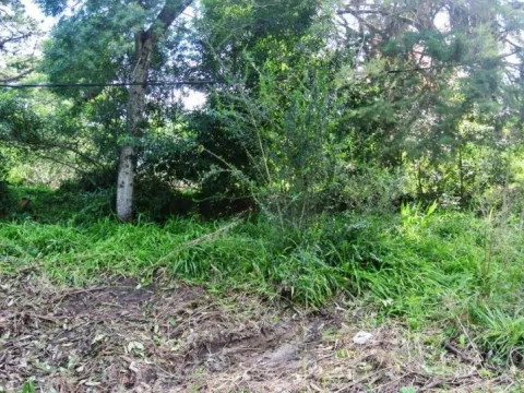 Venta terreno en Golf- Punta del Este — foto 2