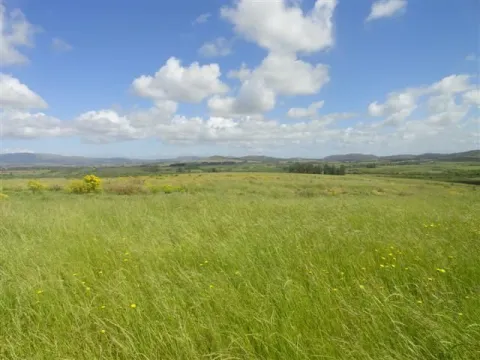 Chacra / Campo 176 ha en Maldonado — foto 3
