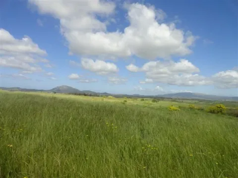 Chacra / Campo 176 ha en Maldonado — foto 4