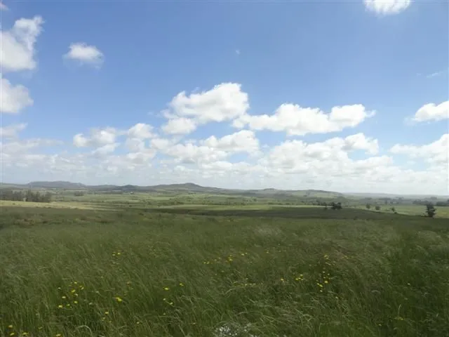 Chacra / Campo 176 ha en Maldonado — foto 5