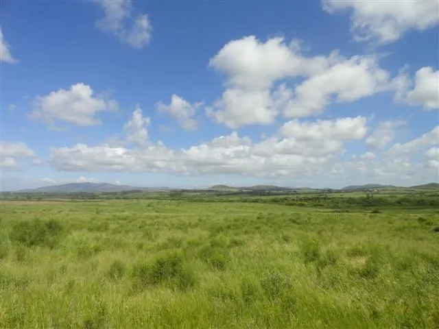 Chacra / Campo 176 ha en Maldonado — foto 6