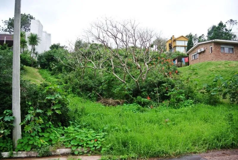 Venta lote en la Rinconada- Punta Ballena — foto 1