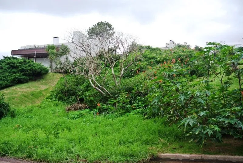 Venta lote en la Rinconada- Punta Ballena — foto 2