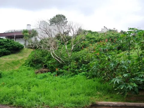 Venta lote en la Rinconada- Punta Ballena — foto 2