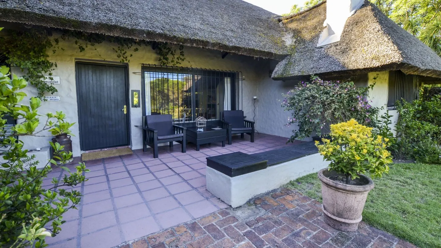 Venta Chacra en excelente ubicación - Punta Ballena — foto 17