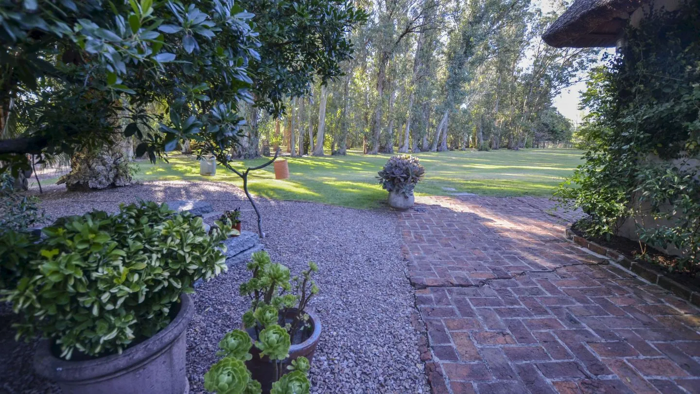 Venta Chacra en excelente ubicación - Punta Ballena — foto 22