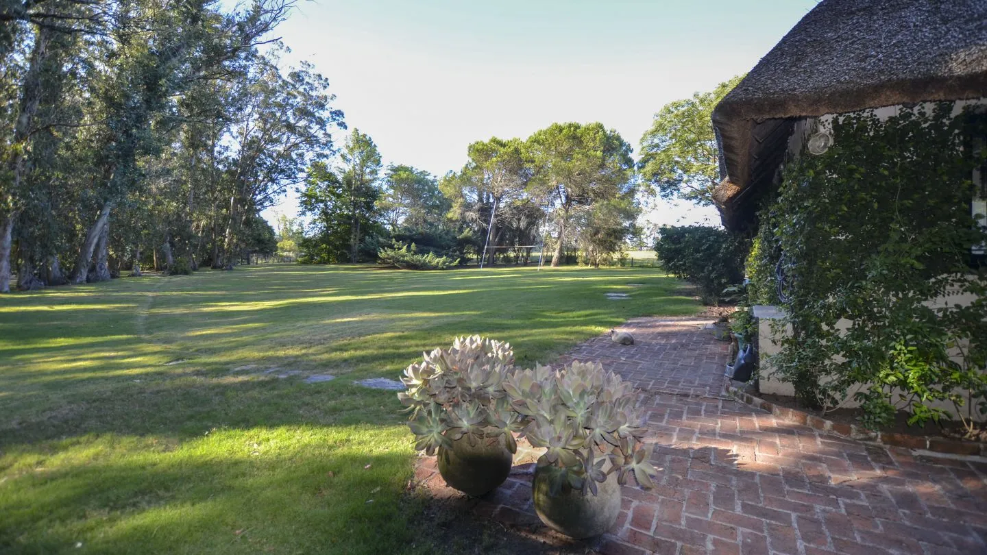 Venta Chacra en excelente ubicación - Punta Ballena — foto 23