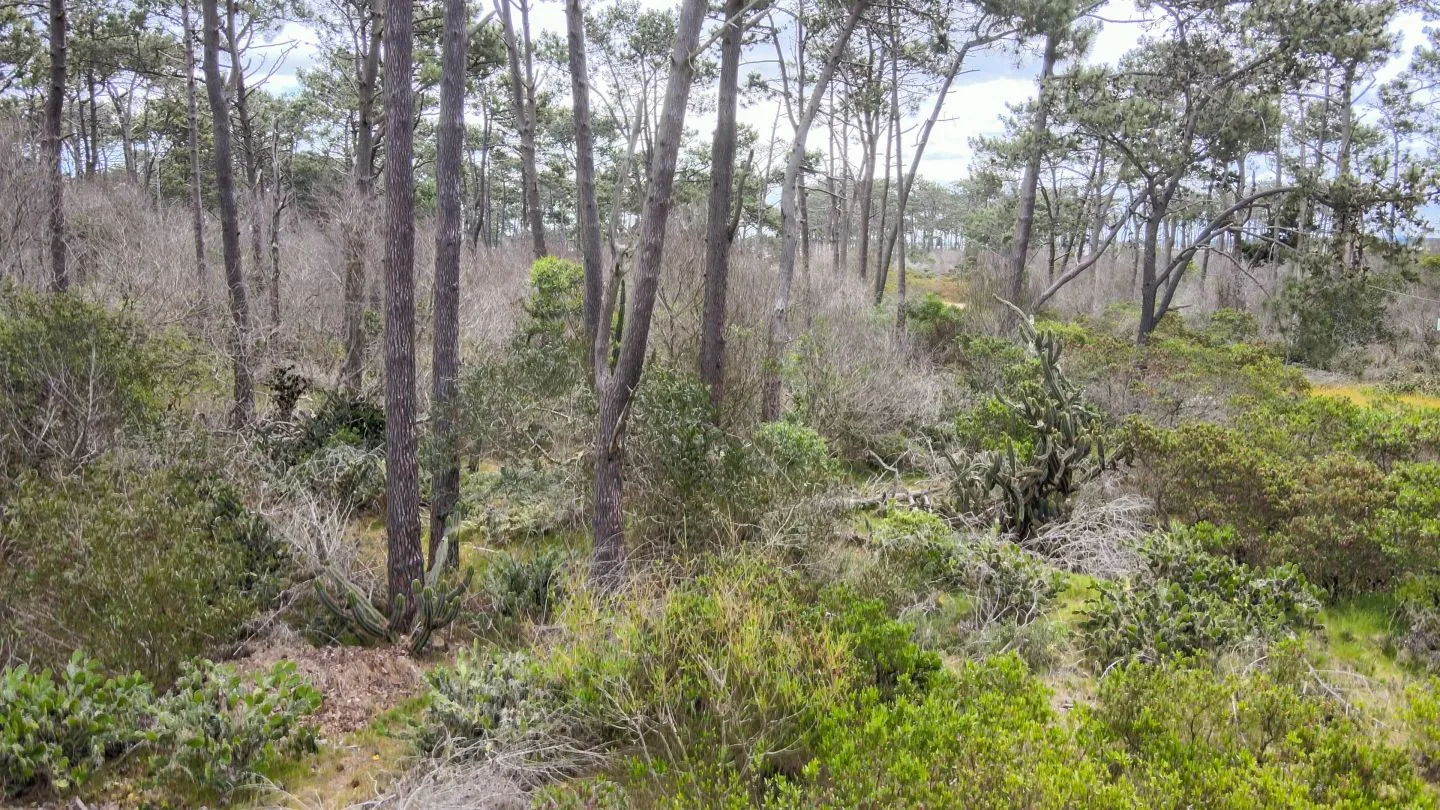 Venta de terreno esquinero 900m2 en El Caracol — foto 5