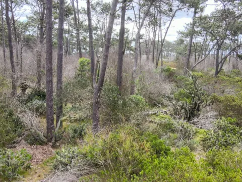 Venta de terreno esquinero 900m2 en El Caracol — foto 5