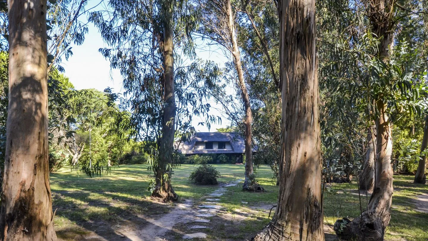 Venta Chacra en excelente ubicación - Punta Ballena — foto 24