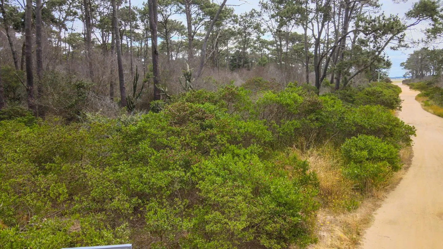 Venta de terreno esquinero 900m2 en El Caracol — foto 6
