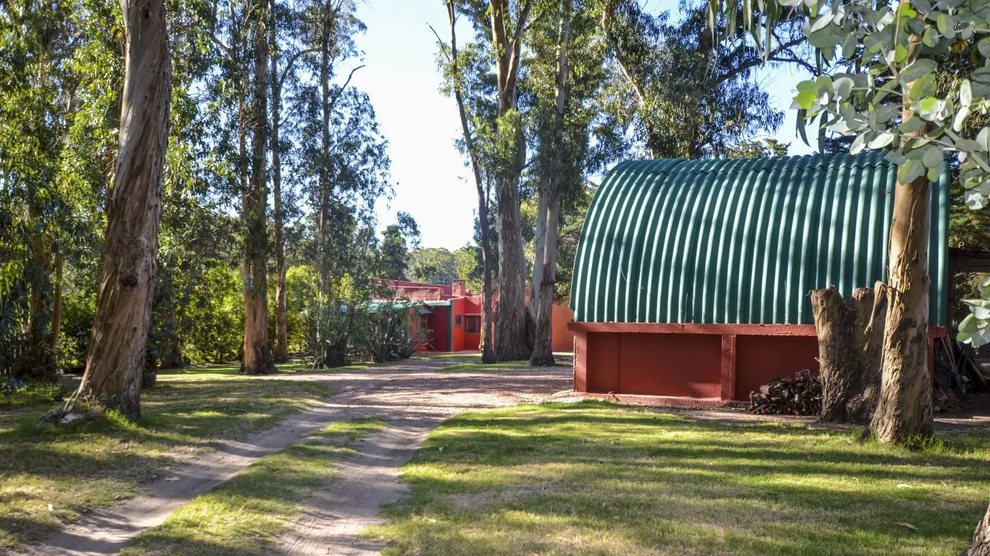 Venta Chacra en excelente ubicación - Punta Ballena — foto 25