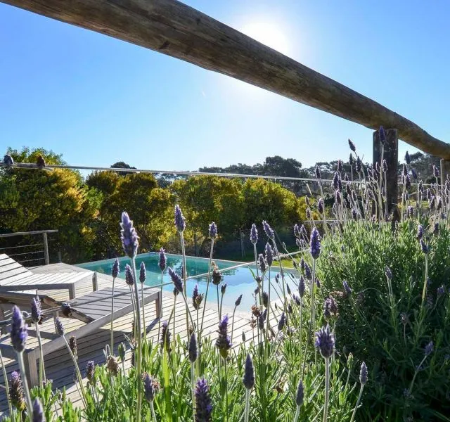 Casa en Jose Ignacio — foto 1