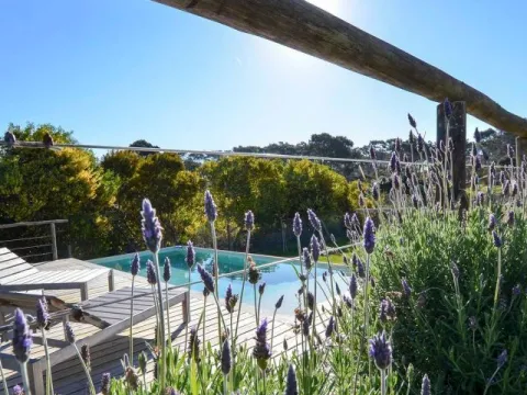 Casa en Jose Ignacio