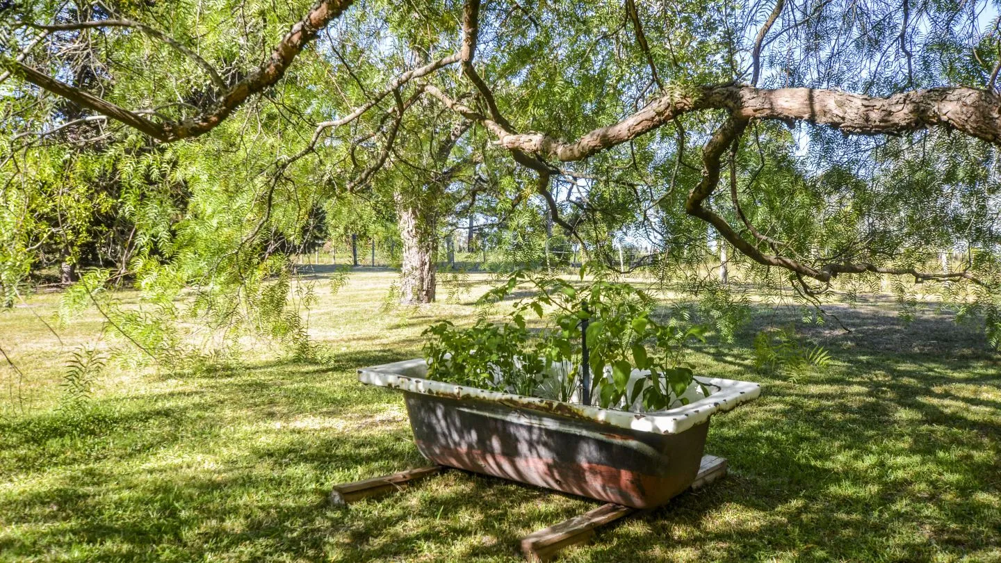 Venta Chacra en excelente ubicación - Punta Ballena — foto 29