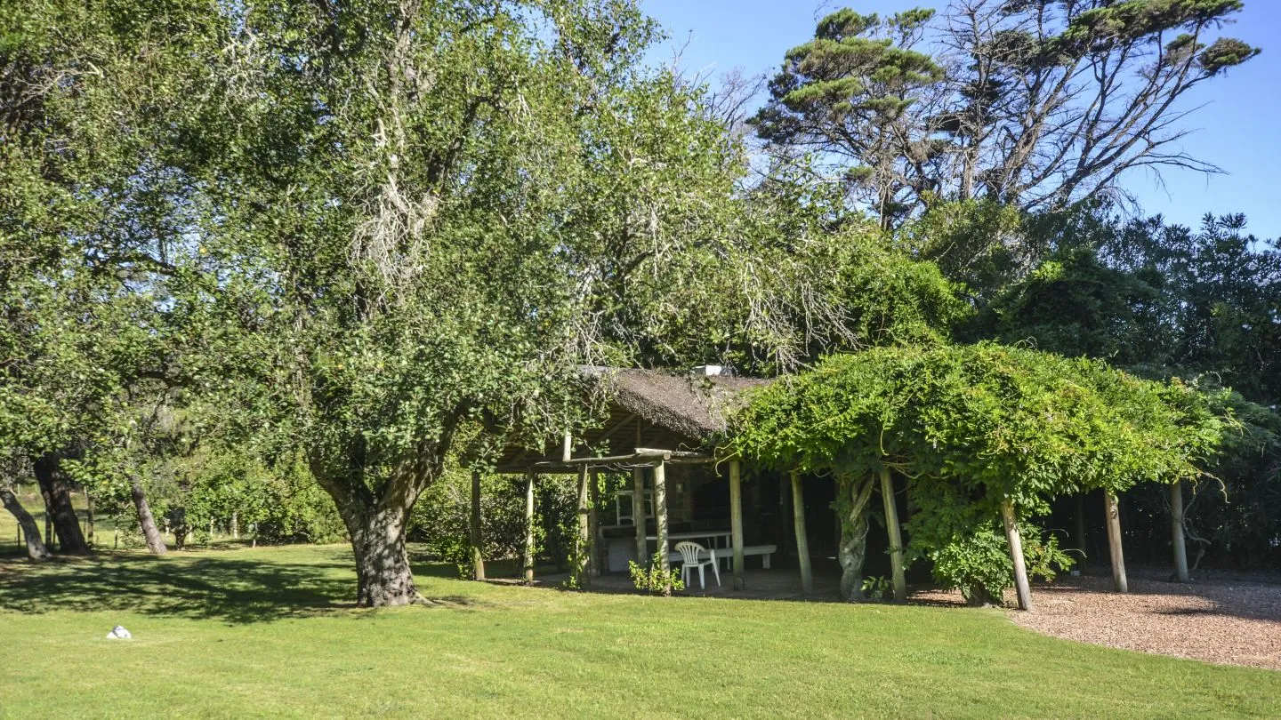 Venta Chacra en excelente ubicación - Punta Ballena — foto 30