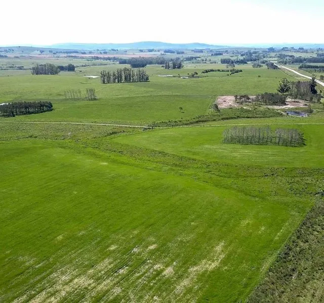 | Campo en venta| Ruta 12 km 14 — foto 1