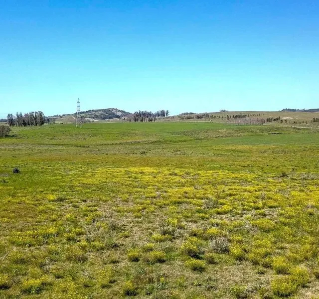 | Campo en venta| Ruta 12 km 14 — foto 2