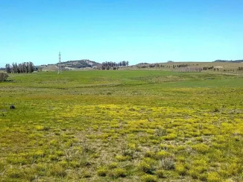 | Campo en venta| Ruta 12 km 14 — foto 2