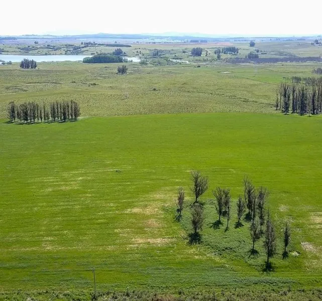 | Campo en venta| Ruta 12 km 14 — foto 3