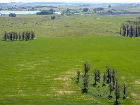 | Campo en venta| Ruta 12 km 14 — foto 3