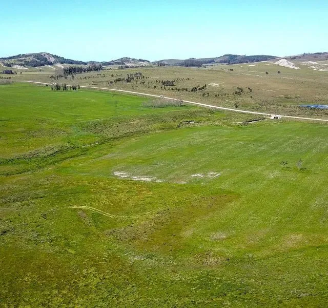 | Campo en venta| Ruta 12 km 14 — foto 4