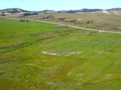 | Campo en venta| Ruta 12 km 14 — foto 4