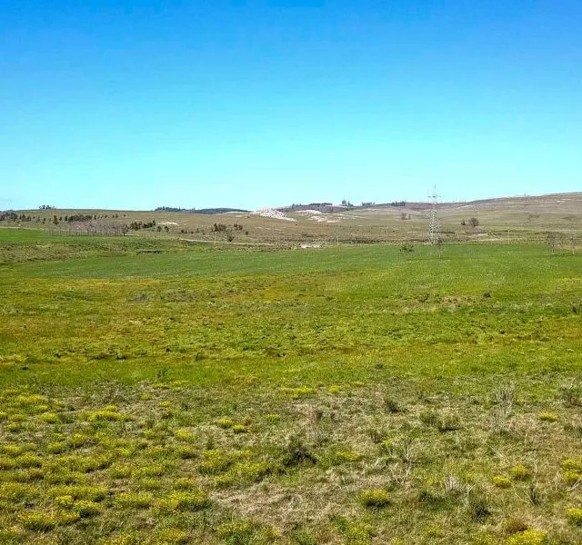| Campo en venta| Ruta 12 km 14 — foto 5
