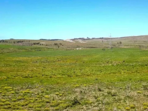 | Campo en venta| Ruta 12 km 14 — foto 5